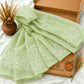 Mint Green Kota Doria Embroidered Saree with Floral Vine Motifs